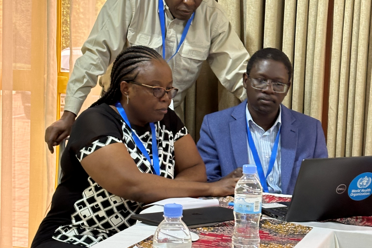 Mr. K. Kensela (WHO Consultant) (center, standing)